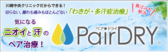 PairDRY